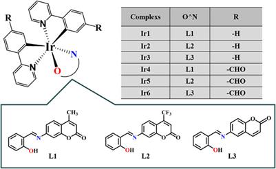 Lysosomal Targeted Cyclometallic Iridium(Ⅲ) Salicylaldehyde-Coumarin Schiff Base Complexes and Anticancer Application